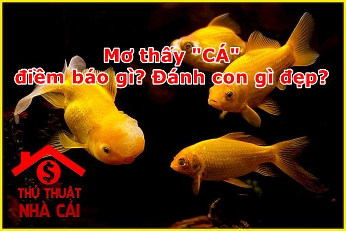 Mơ thấy cá là điềm gì