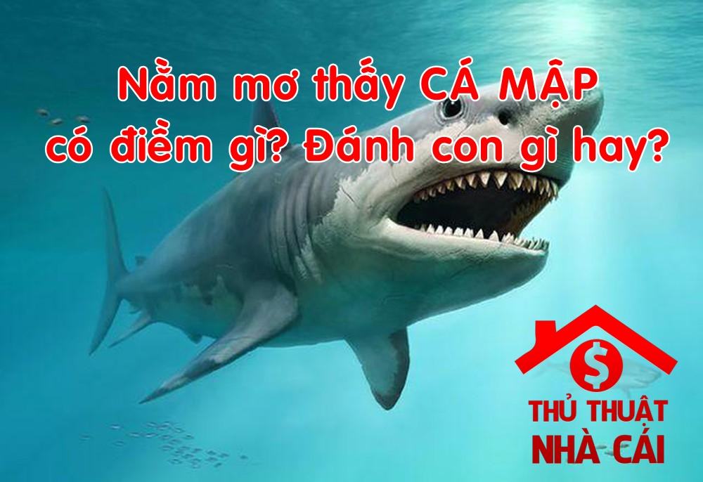 Mơ thấy cá mập điềm gì