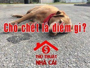 Chó chết là điềm gì