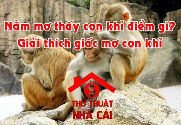 Nằm mơ thấy con khỉ là gì