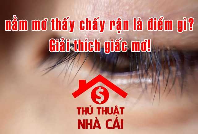 Mơ thấy chấy rận là điềm báo gì? Giải thích giấc mơ chấy rận