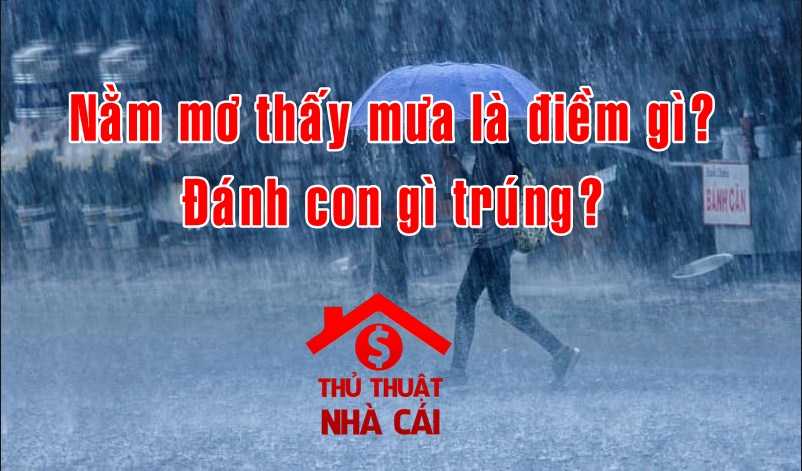 Mơ thấy mưa là điềm gì? Giải thích giấc mơ thấy cơn mưa to