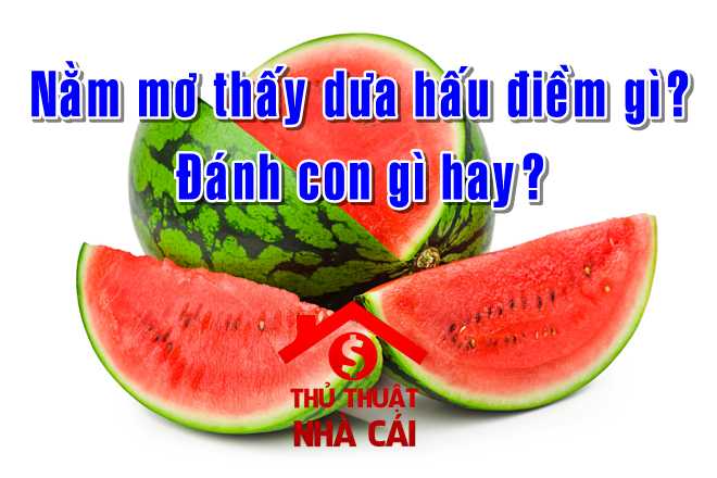 Mơ thấy dưa hấu là điềm gì? Giải thích giấc mơ thấy dưa hấu