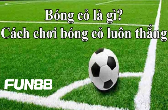 Giới thiệu chi tiết về bóng cỏ