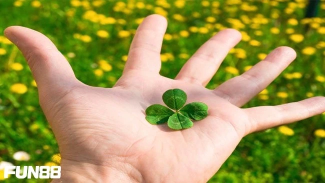 Cách xả xui nên biết