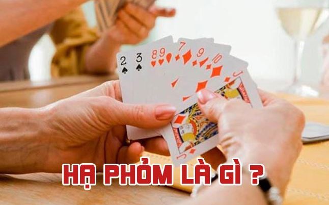 Hạ Phỏm Là Gì? Hướng Dẫn Cách Chơi Và Chiến Thuật Chi Tiết 2 Ha-Phom-La-Gi-Huong-Dan-Cach-Choi-Va-Chien-Thuat-Chi-Tiet