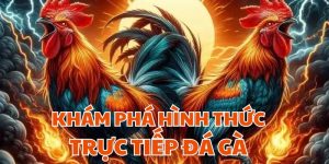 Trực Tiếp Đá Gà i9bet