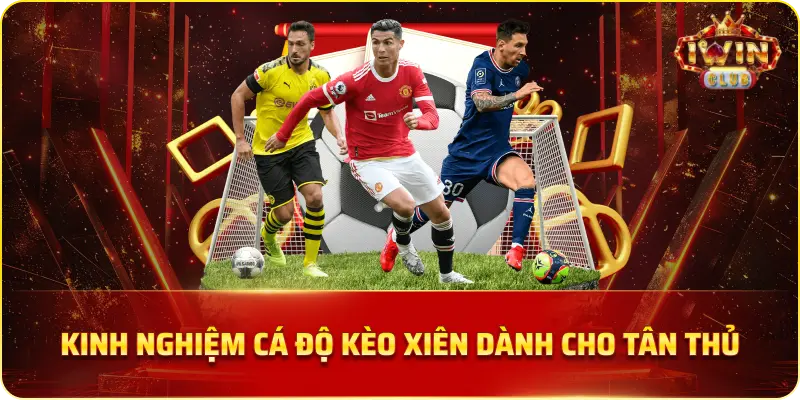 Kinh Nghiệm Cá Độ Kèo Xiên Dành Cho Tân Thủ