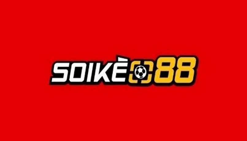 Anh em đã biết gì về trang soi kèo bóng đá 88?