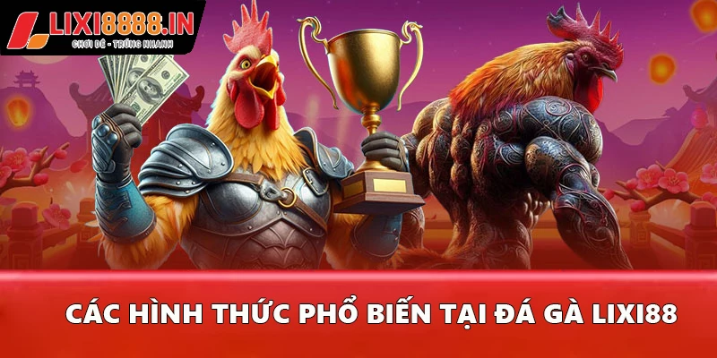 Các hình thức phổ biến tại đá gà Lixi88