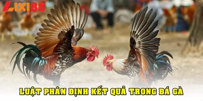 Cách phân định kết quả trong luật đá gà