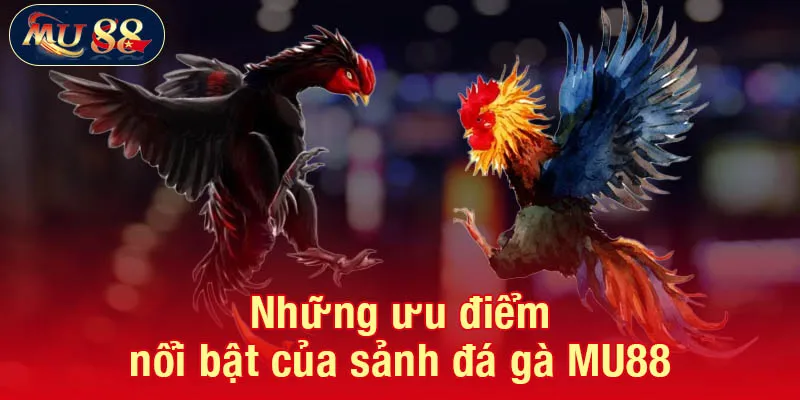 Những ưu điểm nổi bật của sảnh đá gà MU88