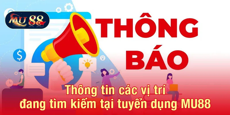 Thông tin các vị trí đang tìm kiếm tại tuyển dụng MU88