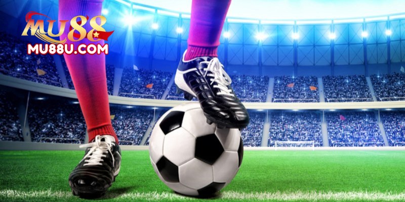 Crown Sports Mu88