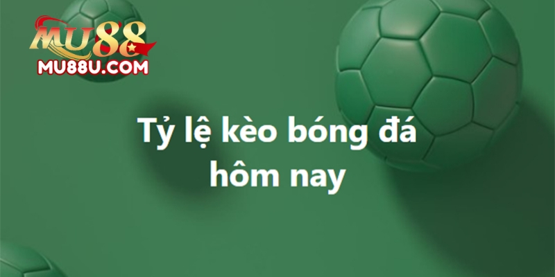 Kèo Chấp 1/4