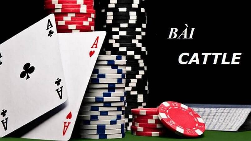 Trường hợp chơi bài Cách Tê trực tuyến Trường hợp chơi bài Cách Tê trực tuyến
