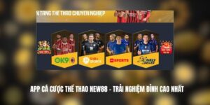 App Cá Cược Thể Thao New88