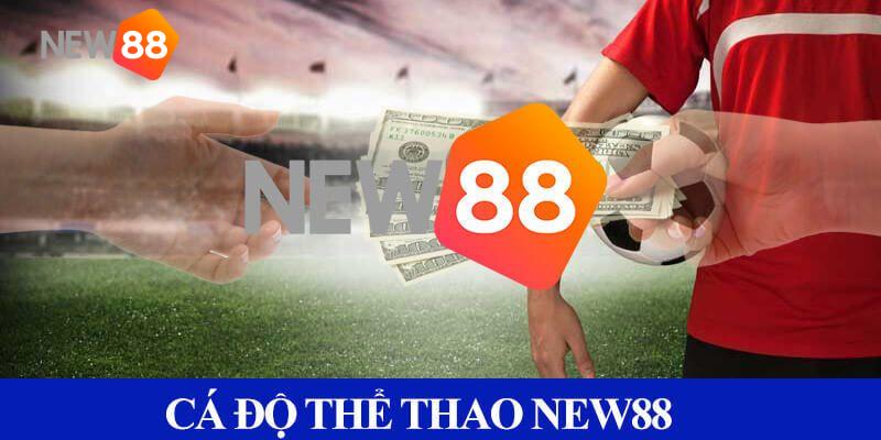 Tổng hợp những siêu phẩm cá độ dành cho hội viên nhà cái New88