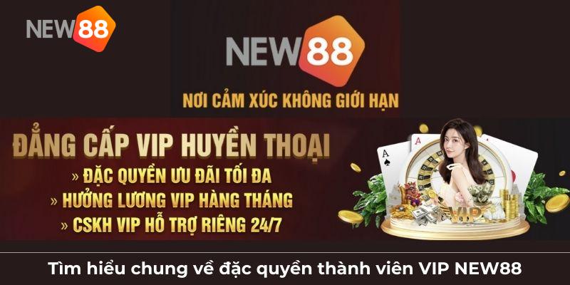 Tìm hiểu chung về đặc quyền thành viên VIP NEW88