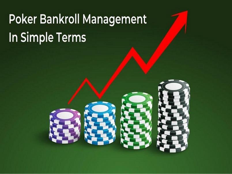 Bankroll là gì? Quản lý như thế nào hiệu quả nhất