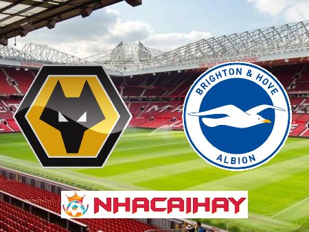 Soi kèo nhà cái Wolves vs Brighton – 21h00 – 19/08/2023