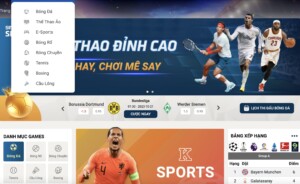 Thể thao Sin88 là gì?