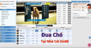 Giới thiệu về đua chó Sin88