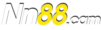 nn88.cam