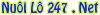 nuôi lô 247