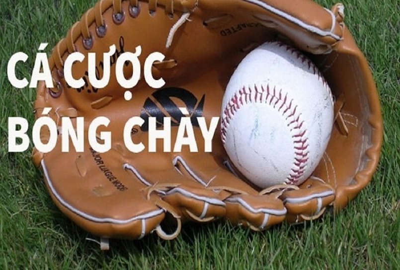 Các thể loại cược trong hiệp 1 cá cược bóng chày bao gồm những loại nào?