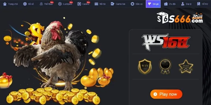Xem trực tiếp đá gà và đặt cược online cùng S666