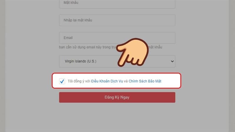 Tích chọn ô Tôi đồng ý với Điều Khoản Dịch Vụ và Chính Sách Bảo Mật.