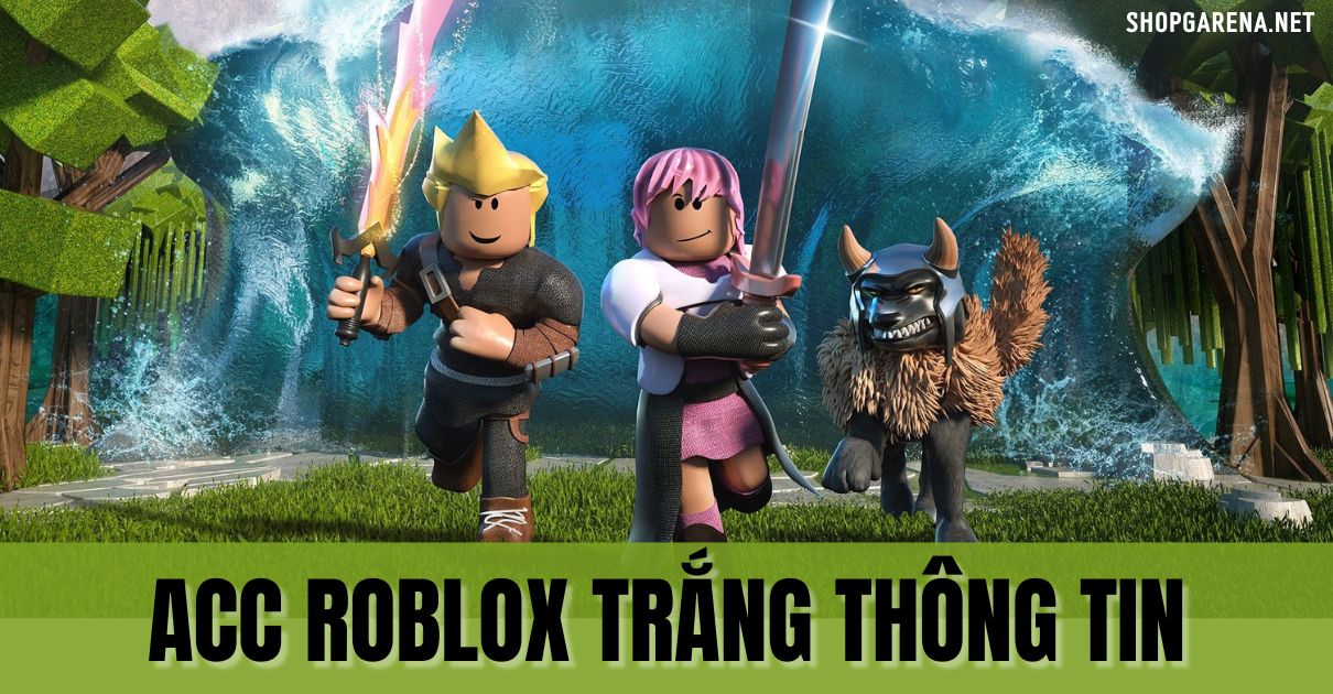 ACC Roblox Trang Thong Tin