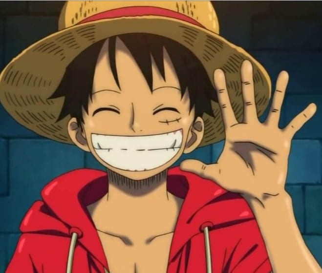 Hinh Avatar One Piece Hai