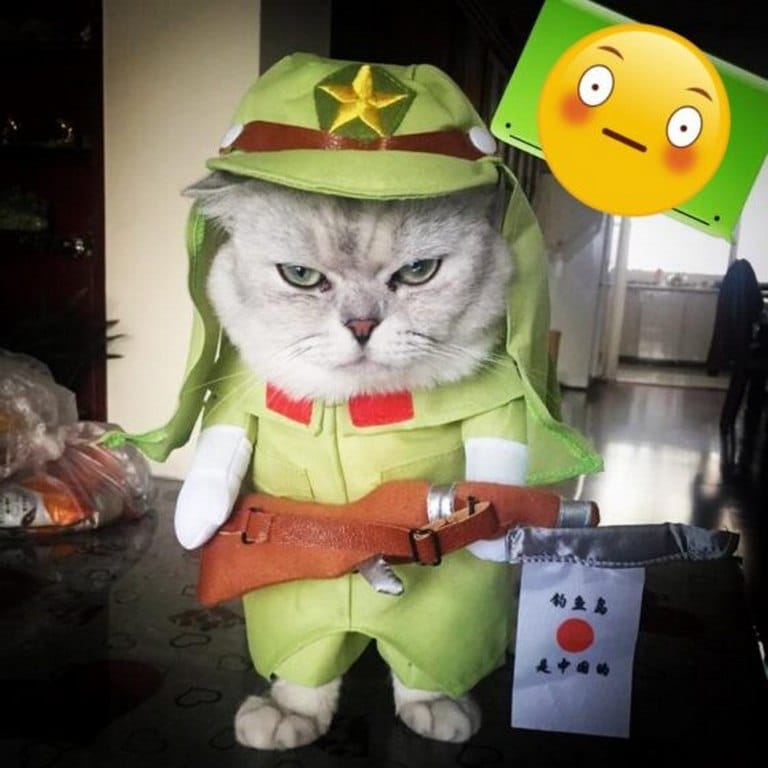 Top ảnh mèo FF ngầu lòi