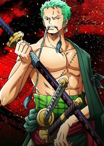 Zoro 6 múi cực đẹp