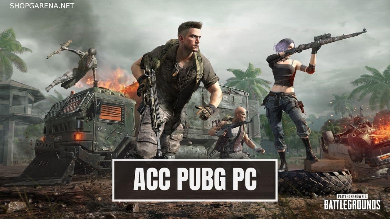 ACC Pubg PC