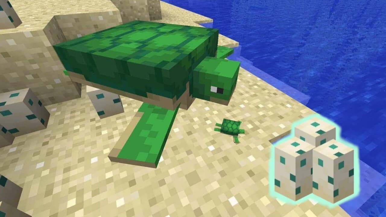 Trứng Rùa Trong Minecraft