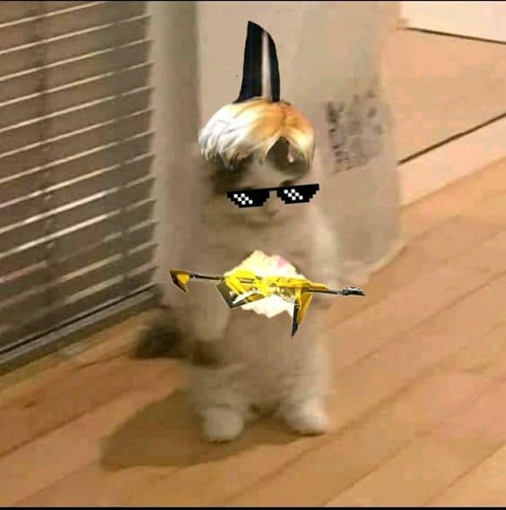 Ảnh mèo Meme Free Fire hài hước