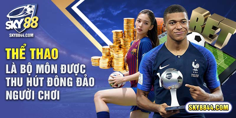Thể thao là bộ môn được thu hút đông đảo người chơi