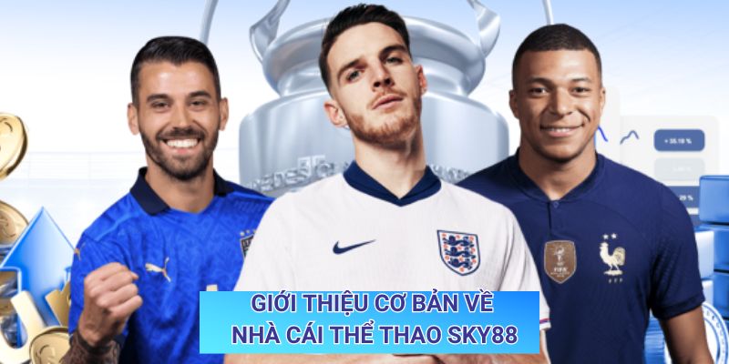 Giới thiệu cơ bản về nhà cái thể thao Sky88