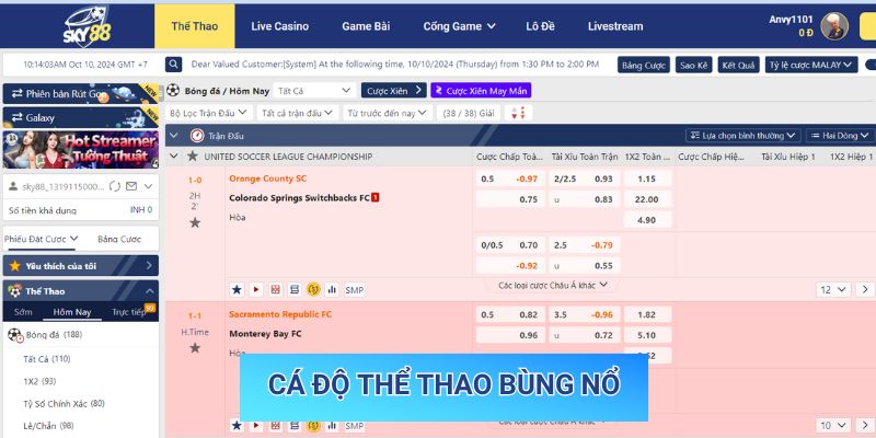 Cá độ thể thao bùng nổ