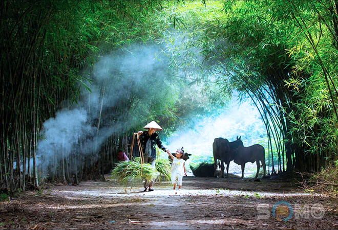 mơ thấy về quê đánh lô đề con gì