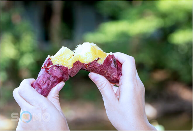 mơ thấy ăn khoai có nghĩa là gì
