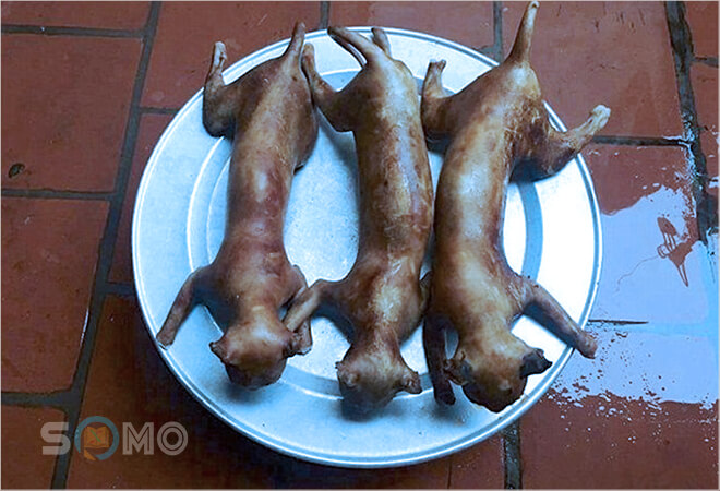 mơ thấy ăn thịt mèo đánh con gì