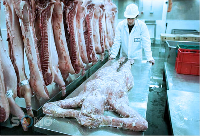 mơ thấy ăn thịt người đánh con gì