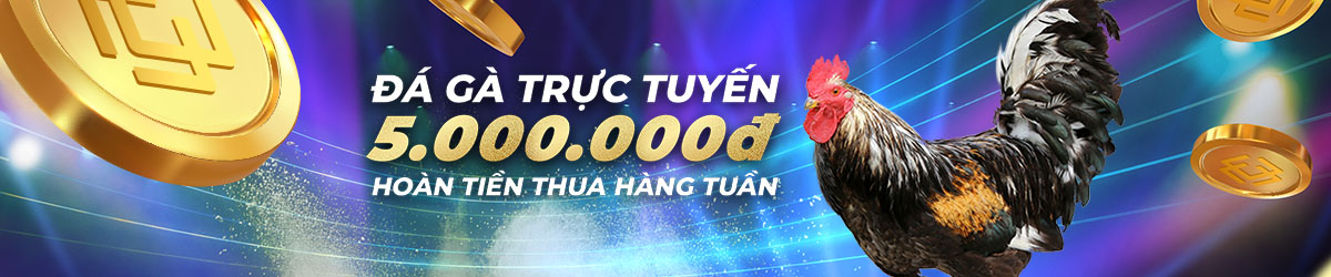sv388tructiep.org Hoàn tiền 3.88% hàng tuần tại Đá Gà