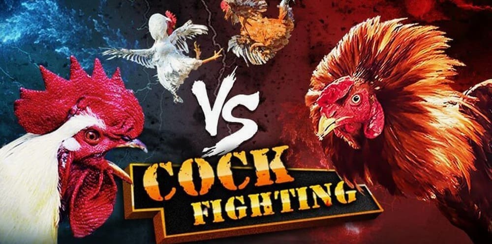 Giao diện thân thiện, hiện đại, bắt mắt