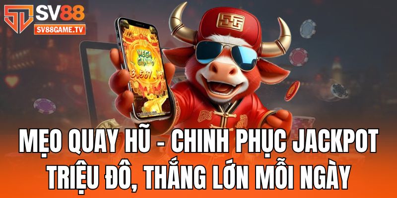meo-quay-hu