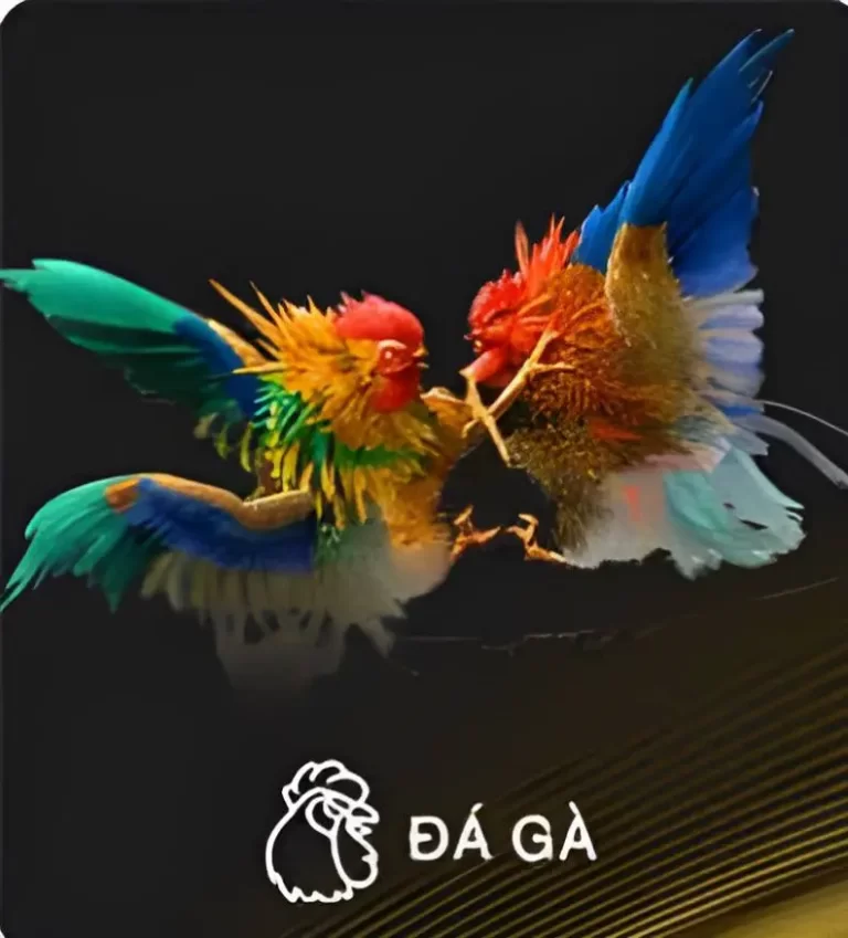 đá gà sv88